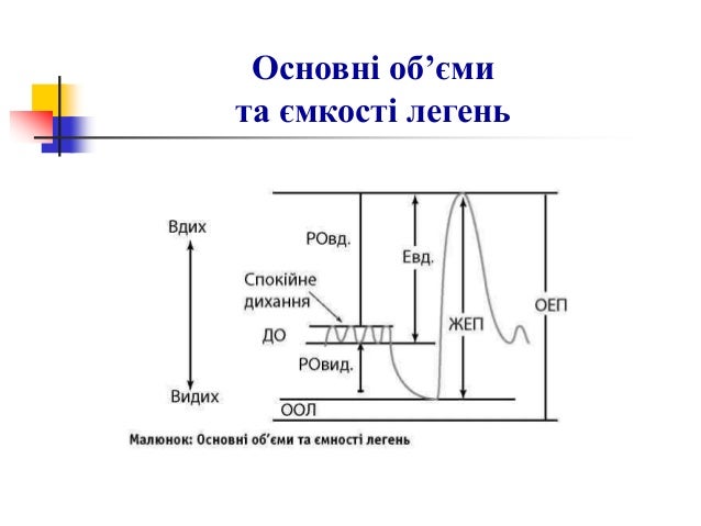 спірометрія 2013