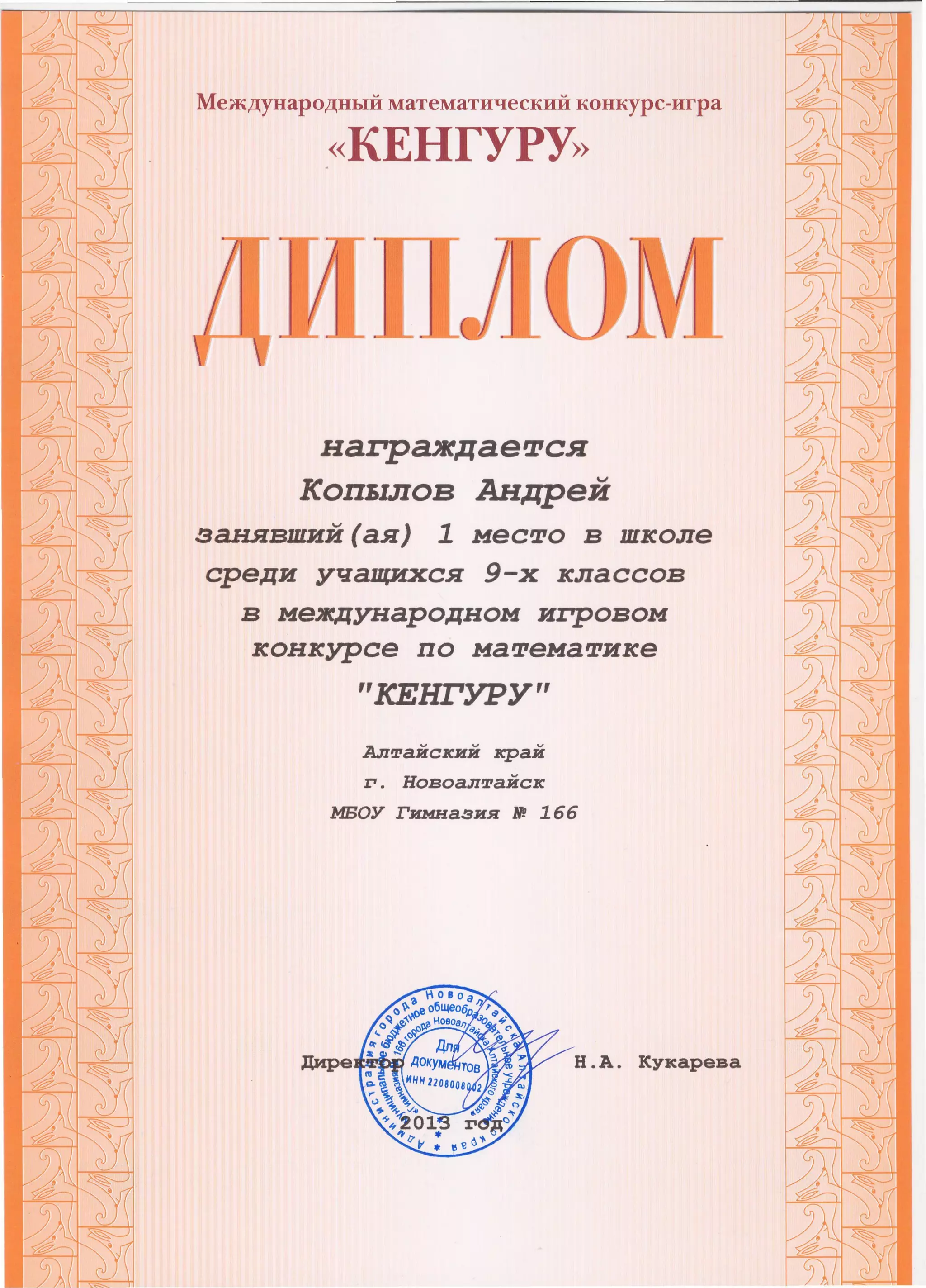 кенгуру 2013 дипломы