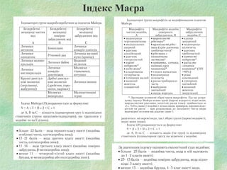 Індекс Маєра
 