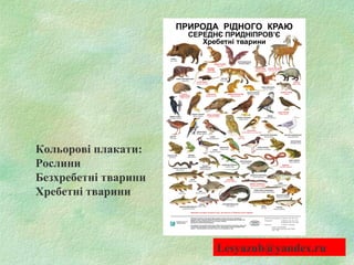 Кольорові плакати:
Рослини
Безхребетні тварини
Хребетні тварини
Lesyazub@yandex.ru
 