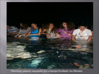 Πιάνοντας μικρούς καρχαρίες στο υπέροχο Ενυδρείο του Μονακό.
 