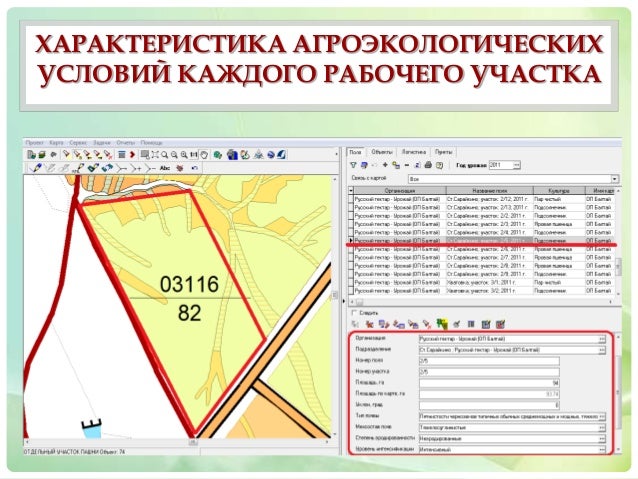 Шнуровая книга истории полей севооборотов
