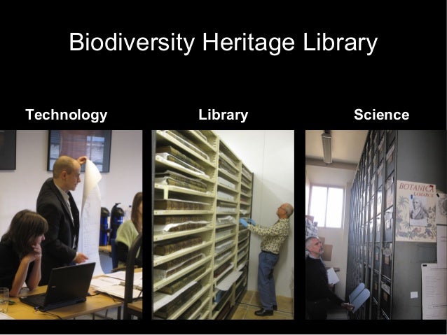 A Current Overview of the Biodiversity Heritage Library