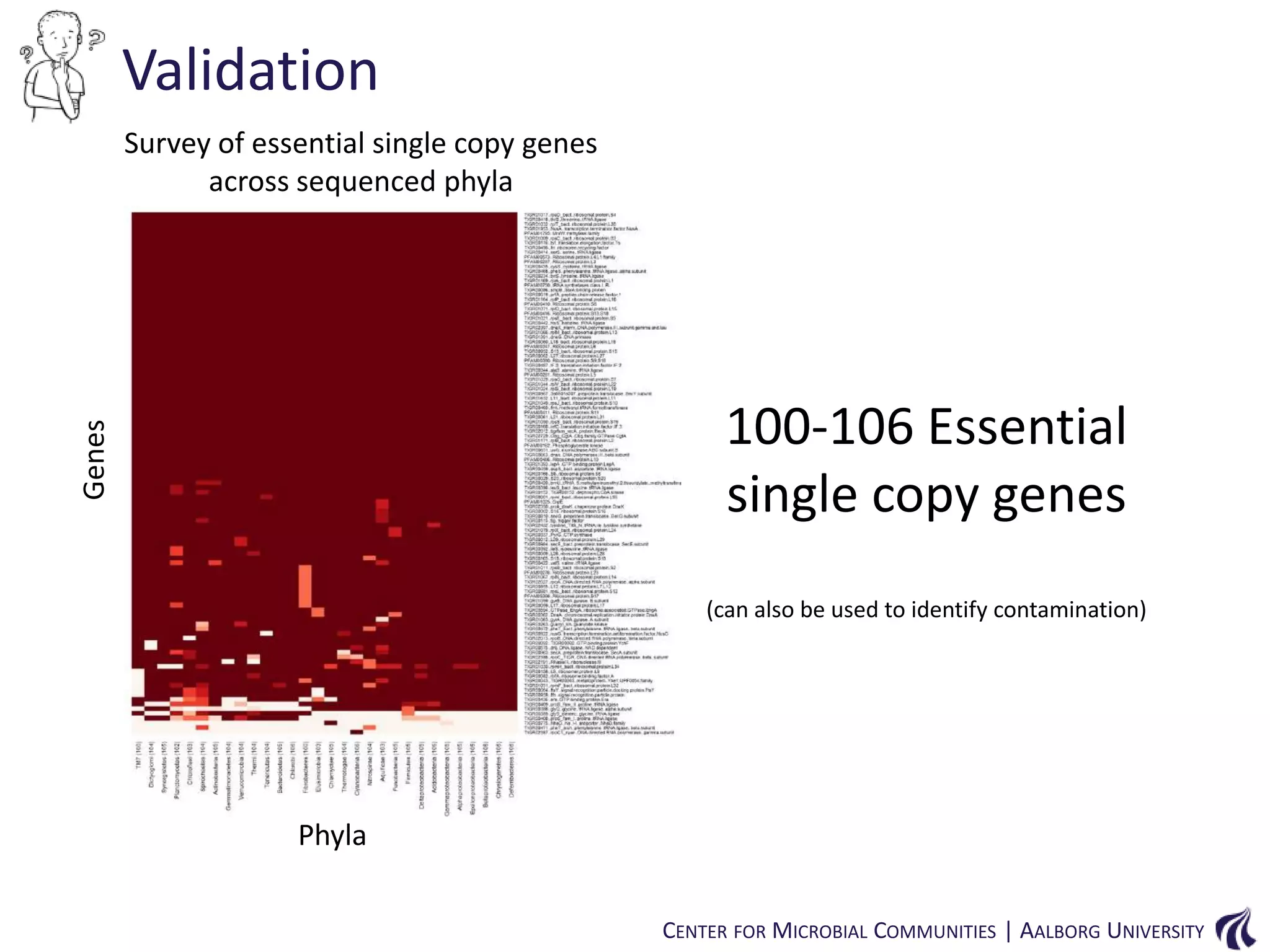 Validation
Survey of essential single copy genes
across sequenced phyla

Genes

100-106 Essential
single copy genes
(can also be used to identify contamination)

Phyla
CENTER FOR MICROBIAL COMMUNITIES | AALBORG UNIVERSITY

 