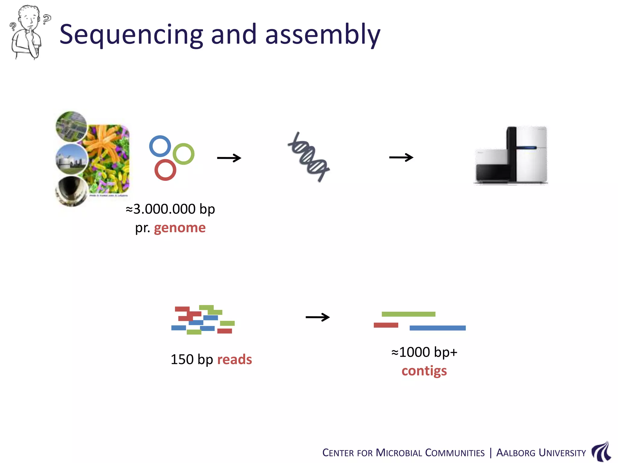 Sequencing and assembly

≈3.000.000 bp
pr. genome

150 bp reads

≈1000 bp+
contigs

CENTER FOR MICROBIAL COMMUNITIES | AALBORG UNIVERSITY

 