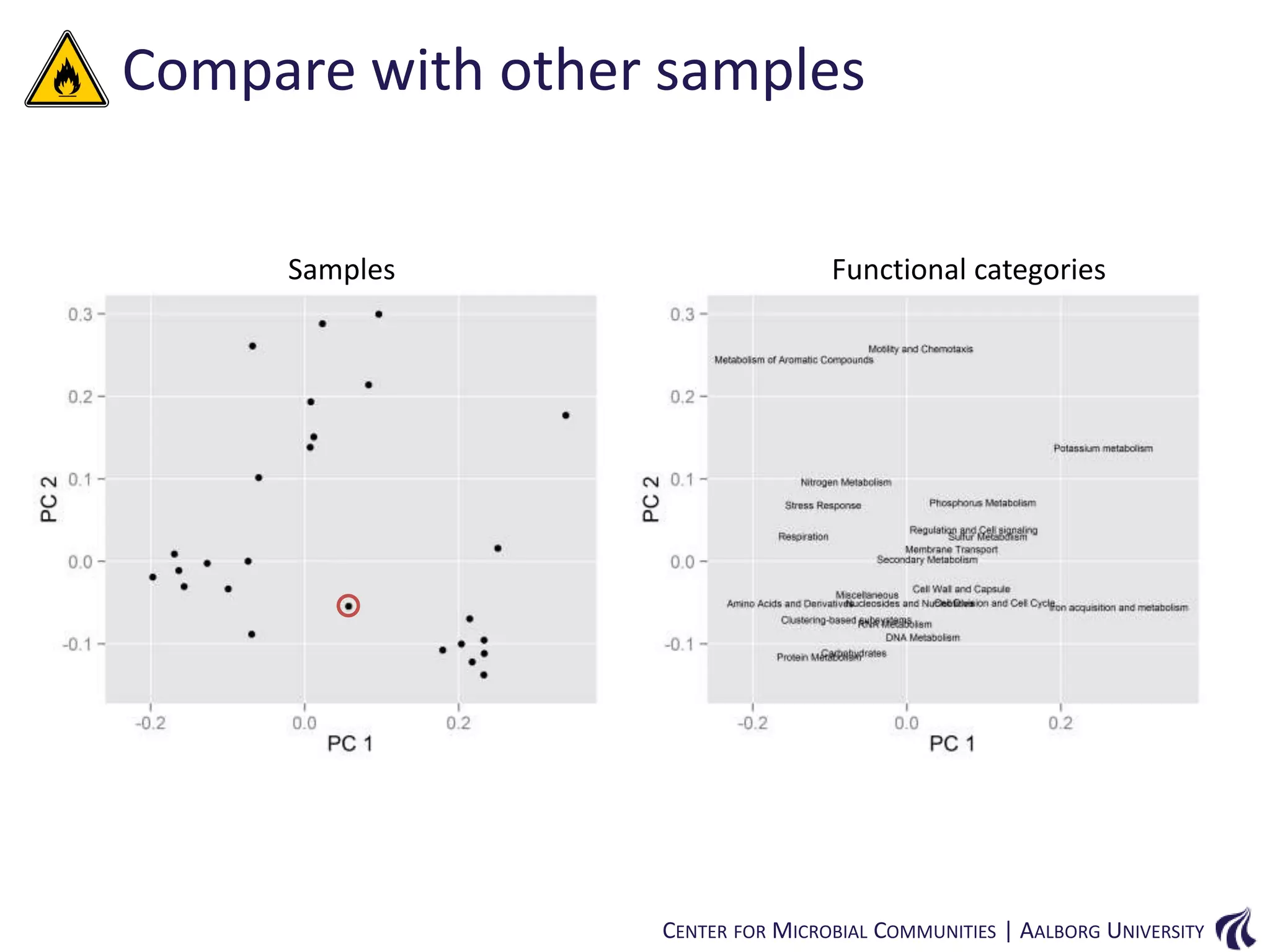 Compare with other samples
Samples

Functional categories

CENTER FOR MICROBIAL COMMUNITIES | AALBORG UNIVERSITY

 