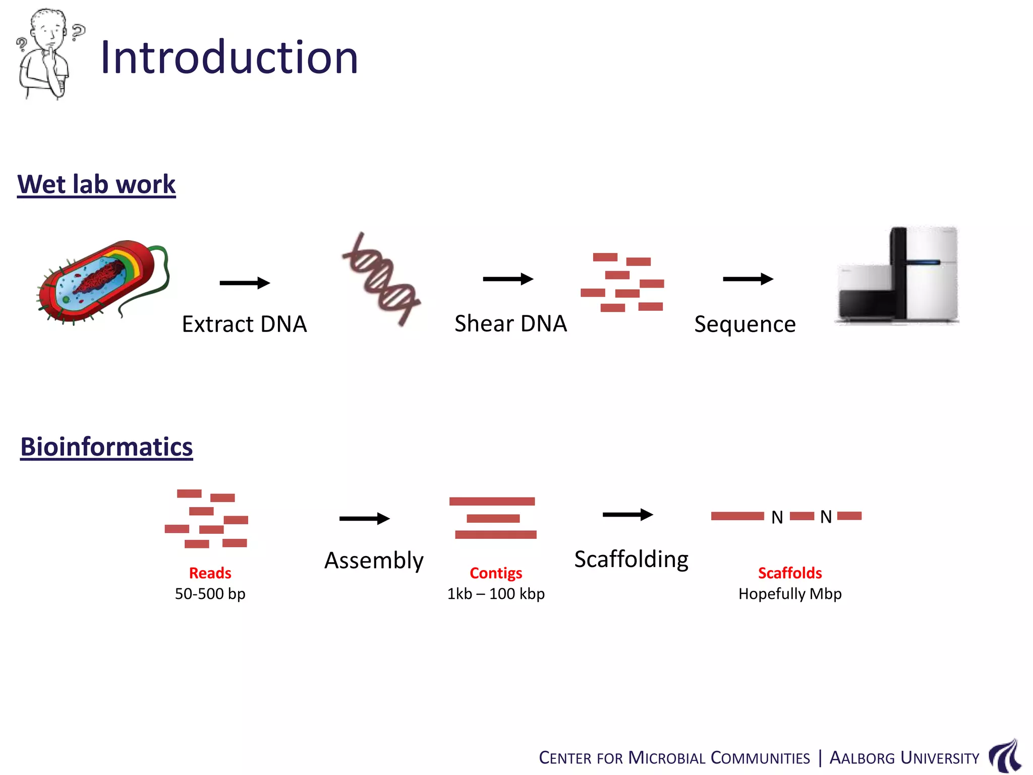 Introduction
Wet lab work

Shear DNA

Extract DNA

Sequence

Bioinformatics
N
Reads
50-500 bp

Assembly

Contigs
1kb – 100 kbp

Scaffolding

N

Scaffolds
Hopefully Mbp

CENTER FOR MICROBIAL COMMUNITIES | AALBORG UNIVERSITY

 