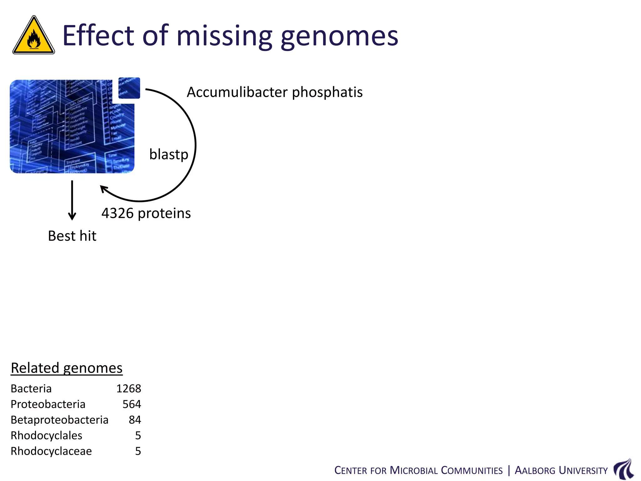 Effect of missing genomes
Accumulibacter phosphatis

blastp

4326 proteins
Best hit

Related genomes
Bacteria
1268
Proteobacteria
564
Betaproteobacteria
84
Rhodocyclales
5
Rhodocyclaceae
5
CENTER FOR MICROBIAL COMMUNITIES | AALBORG UNIVERSITY

 