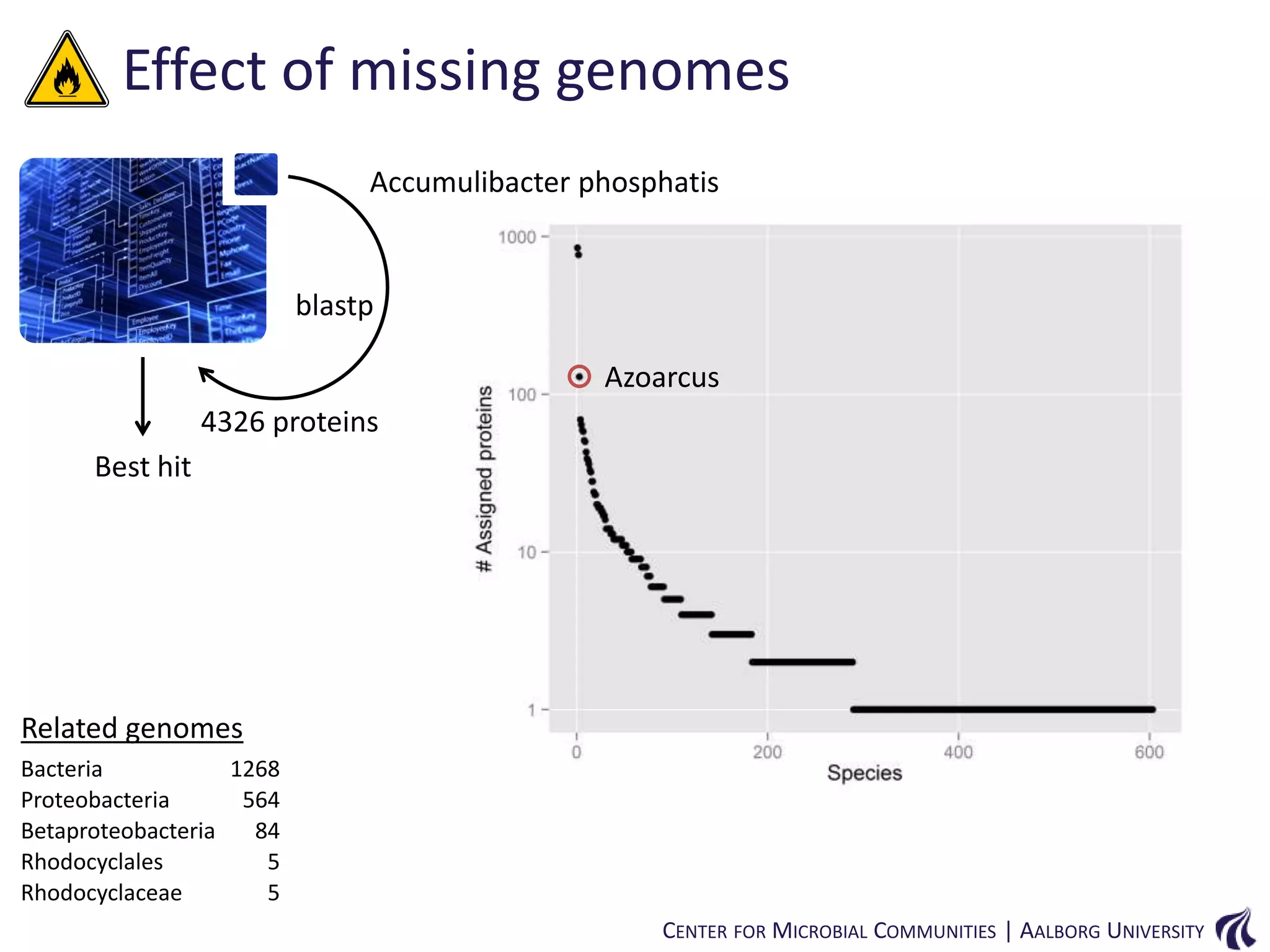 Effect of missing genomes
Accumulibacter phosphatis

blastp
Azoarcus
4326 proteins
Best hit

Related genomes
Bacteria
1268
Proteobacteria
564
Betaproteobacteria
84
Rhodocyclales
5
Rhodocyclaceae
5
CENTER FOR MICROBIAL COMMUNITIES | AALBORG UNIVERSITY

 
