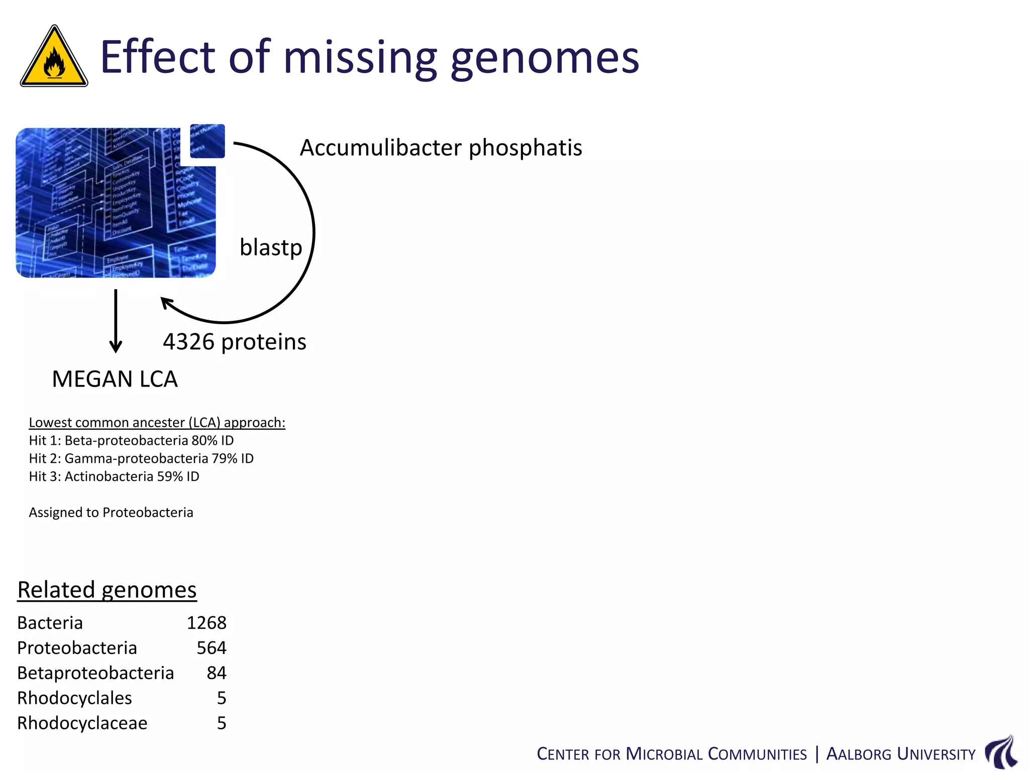Effect of missing genomes
Accumulibacter phosphatis

blastp

4326 proteins
MEGAN LCA
Lowest common ancester (LCA) approach:
Hit 1: Beta-proteobacteria 80% ID
Hit 2: Gamma-proteobacteria 79% ID
Hit 3: Actinobacteria 59% ID
Assigned to Proteobacteria

Related genomes
Bacteria
1268
Proteobacteria
564
Betaproteobacteria
84
Rhodocyclales
5
Rhodocyclaceae
5
CENTER FOR MICROBIAL COMMUNITIES | AALBORG UNIVERSITY

 