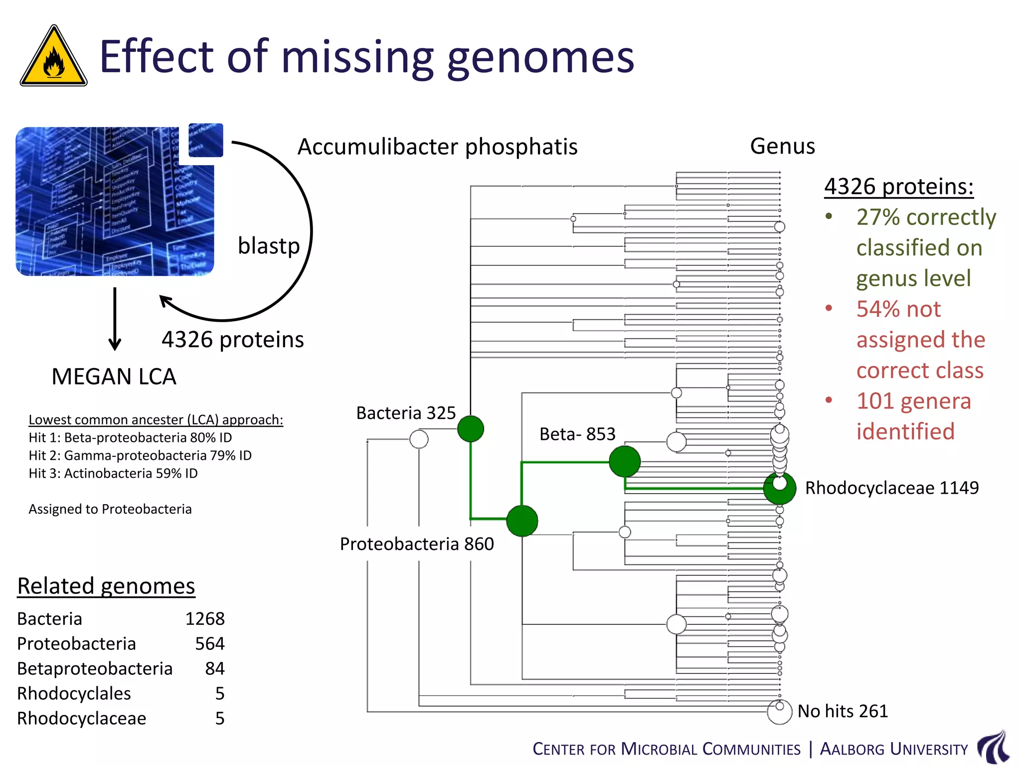 Effect of missing genomes
Accumulibacter phosphatis

blastp

4326 proteins
MEGAN LCA
Lowest common ancester (LCA) approach:
Hit 1: Beta-proteobacteria 80% ID
Hit 2: Gamma-proteobacteria 79% ID
Hit 3: Actinobacteria 59% ID

Bacteria 325
Beta- 853

Genus

4326 proteins:
• 27% correctly
classified on
genus level
• 54% not
assigned the
correct class
• 101 genera
identified
Rhodocyclaceae 1149

Assigned to Proteobacteria

Proteobacteria 860

Related genomes
Bacteria
1268
Proteobacteria
564
Betaproteobacteria
84
Rhodocyclales
5
Rhodocyclaceae
5

No hits 261
CENTER FOR MICROBIAL COMMUNITIES | AALBORG UNIVERSITY

 