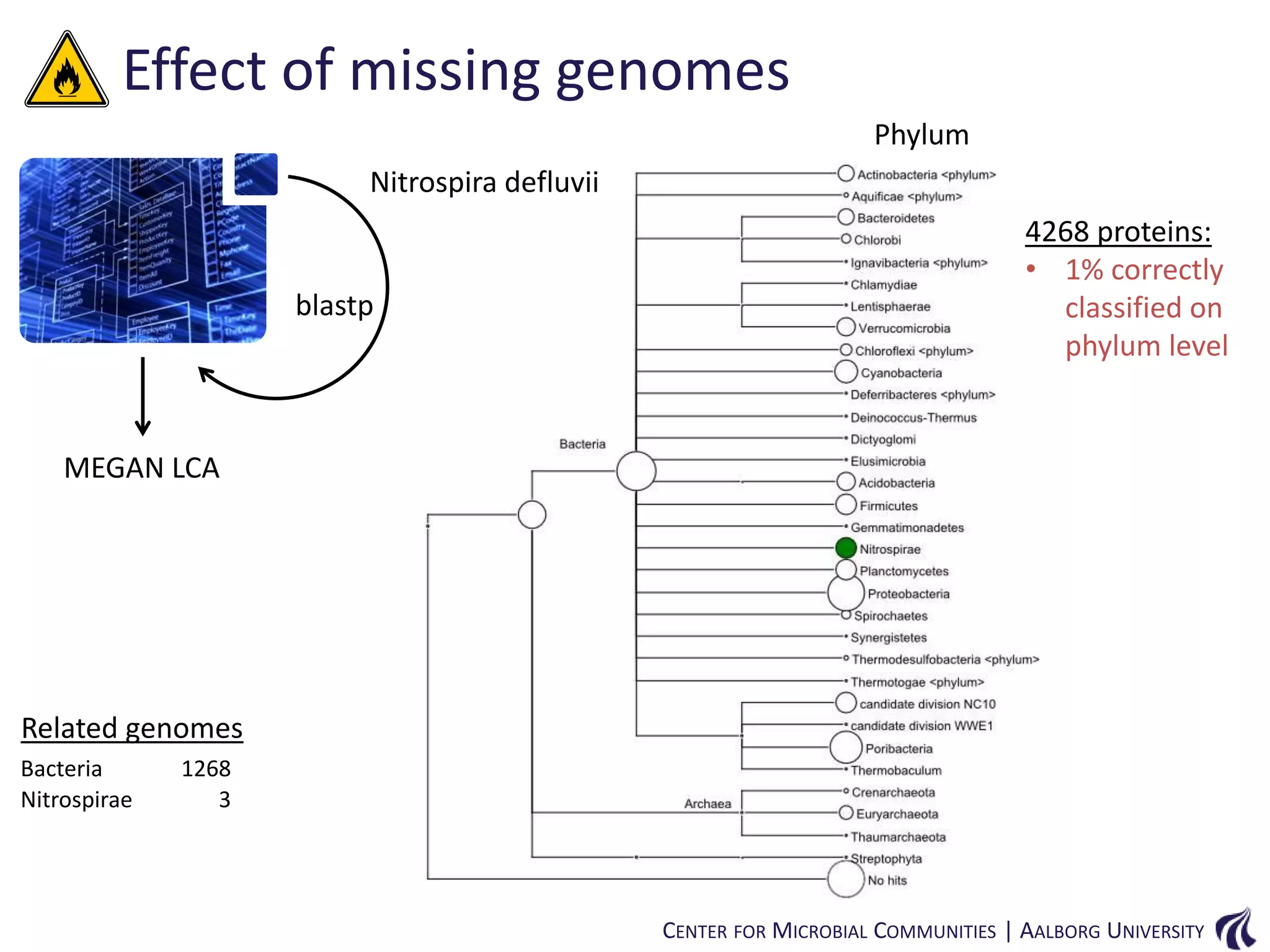 Effect of missing genomes
Phylum
Nitrospira defluvii

blastp

4268 proteins:
• 1% correctly
classified on
phylum level

MEGAN LCA

Related genomes
Bacteria
Nitrospirae

1268
3

CENTER FOR MICROBIAL COMMUNITIES | AALBORG UNIVERSITY

 
