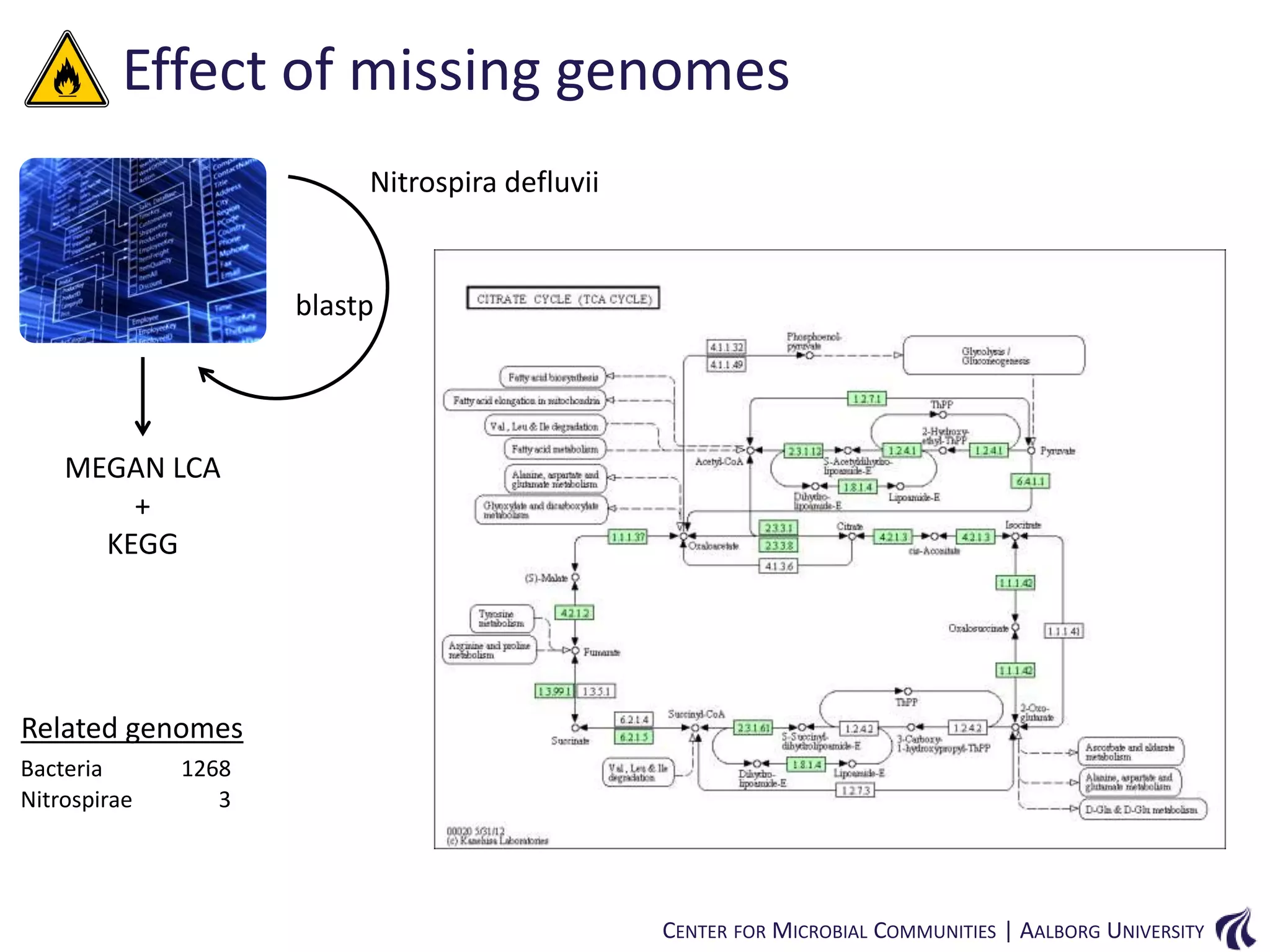 Effect of missing genomes
Nitrospira defluvii

blastp

MEGAN LCA
+
KEGG

Related genomes
Bacteria
Nitrospirae

1268
3

CENTER FOR MICROBIAL COMMUNITIES | AALBORG UNIVERSITY

 
