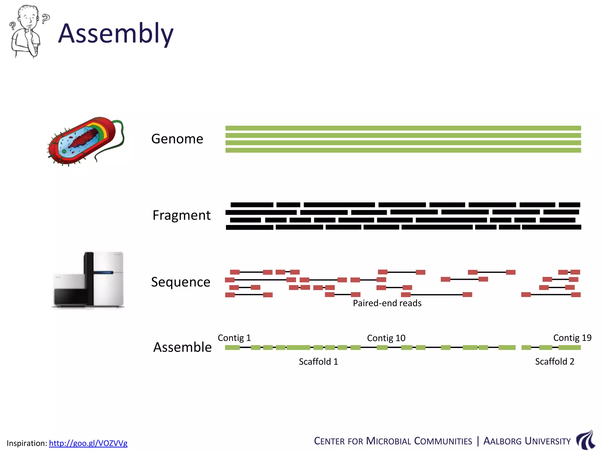 Assembly

Genome

Fragment

Sequence
Paired-end reads

Assemble

Contig 1

Contig 10
Scaffold 1

Inspiration: http://goo.gl/VOZVVg

Contig 19
Scaffold 2

CENTER FOR MICROBIAL COMMUNITIES | AALBORG UNIVERSITY

 