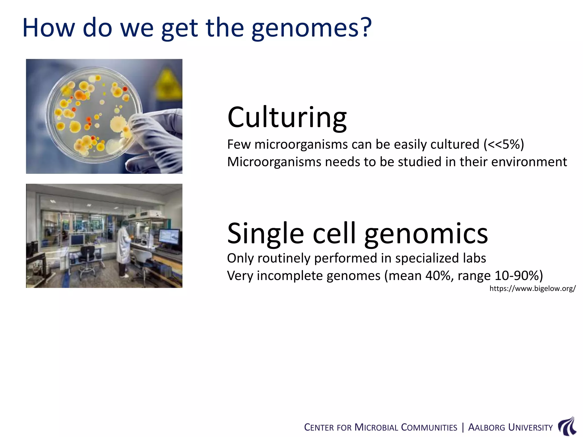 How do we get the genomes?

Culturing
Few microorganisms can be easily cultured (<<5%)
Microorganisms needs to be studied in their environment

Single cell genomics
Only routinely performed in specialized labs
Very incomplete genomes (mean 40%, range 10-90%)
https://www.bigelow.org/

CENTER FOR MICROBIAL COMMUNITIES | AALBORG UNIVERSITY

 