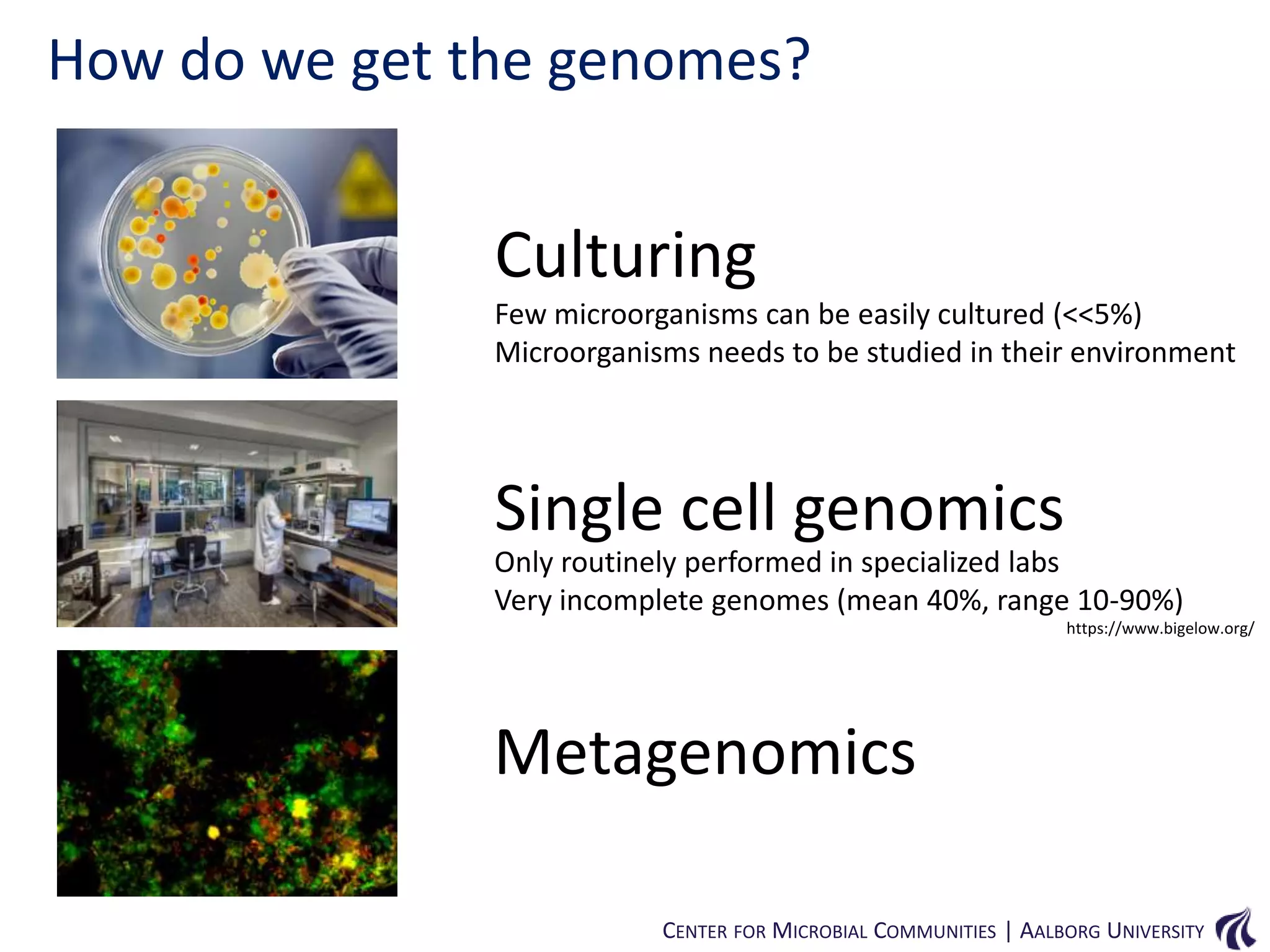 How do we get the genomes?

Culturing
Few microorganisms can be easily cultured (<<5%)
Microorganisms needs to be studied in their environment

Single cell genomics
Only routinely performed in specialized labs
Very incomplete genomes (mean 40%, range 10-90%)
https://www.bigelow.org/

Metagenomics
CENTER FOR MICROBIAL COMMUNITIES | AALBORG UNIVERSITY

 