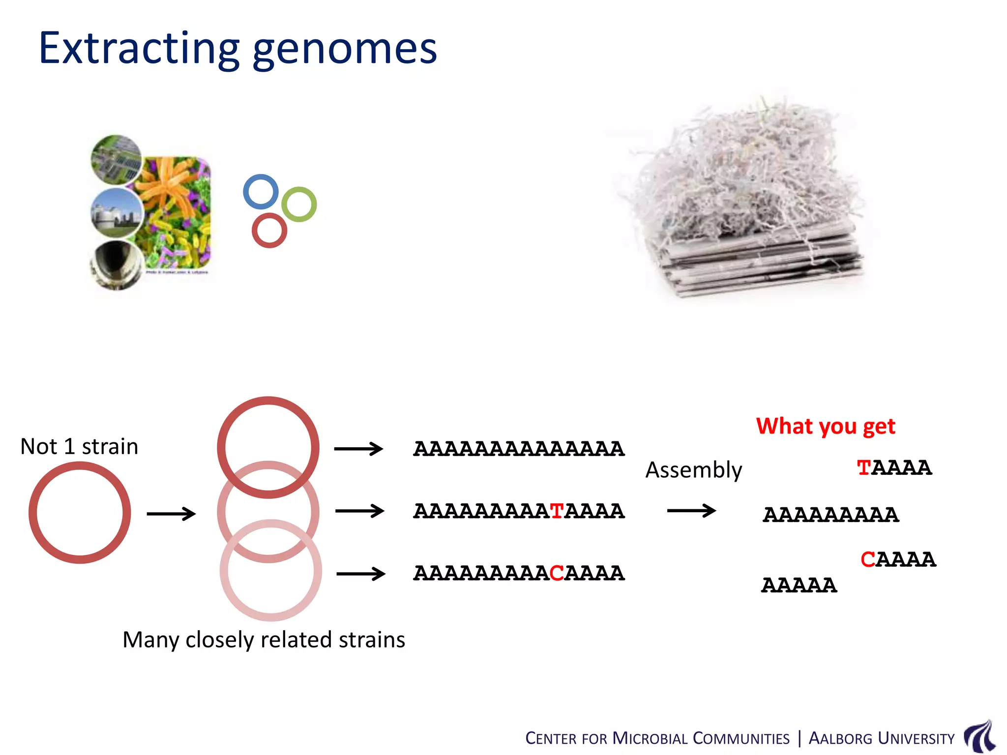 Extracting genomes

Not 1 strain

AAAAAAAAAAAAAA
AAAAAAAAATAAAA
AAAAAAAAACAAAA

What you get
TAAAA

Assembly

AAAAAAAAA
AAAAA

CAAAA

Many closely related strains

CENTER FOR MICROBIAL COMMUNITIES | AALBORG UNIVERSITY

 