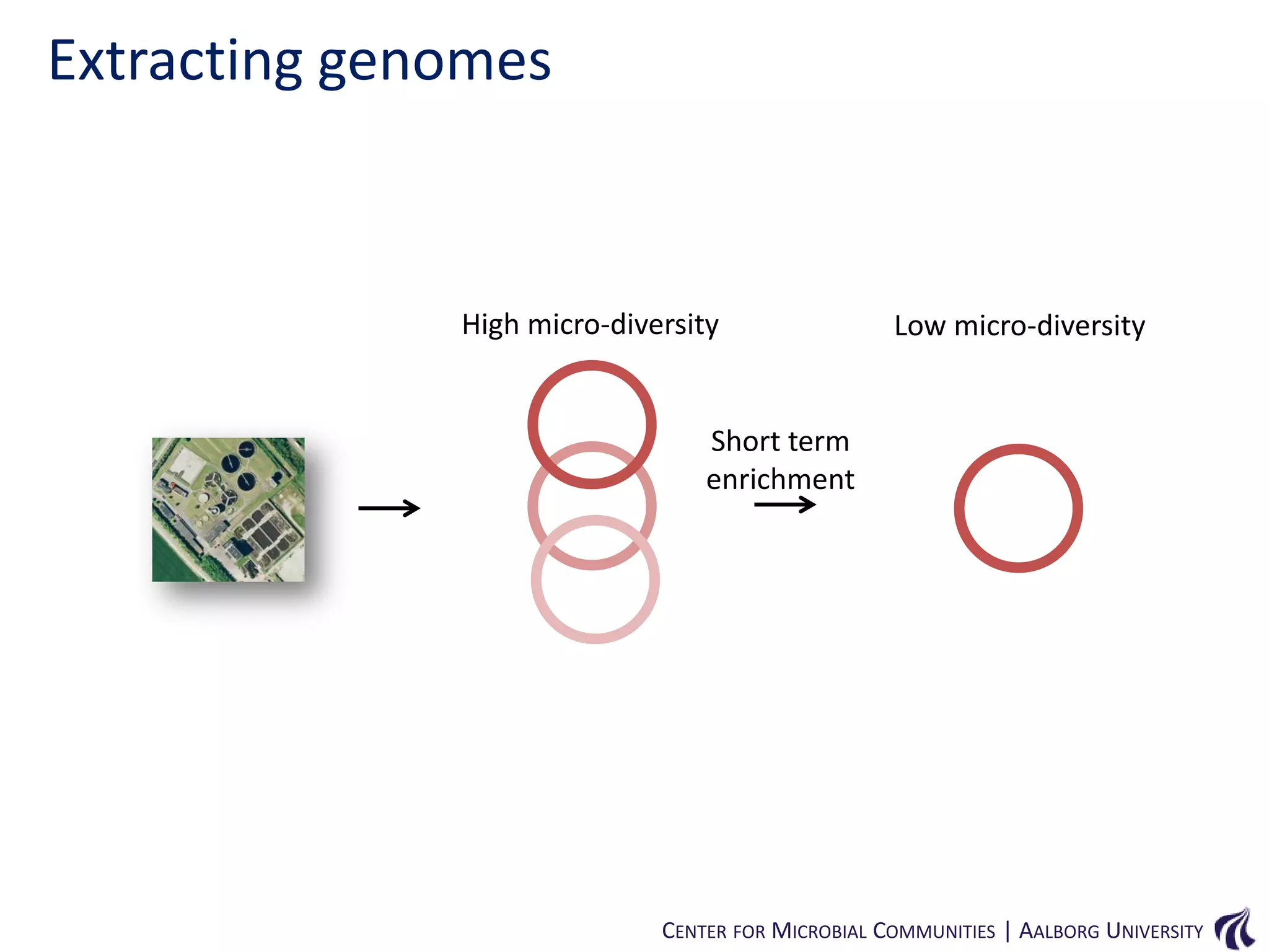 Extracting genomes

High micro-diversity

Low micro-diversity

Short term
enrichment

CENTER FOR MICROBIAL COMMUNITIES | AALBORG UNIVERSITY

 