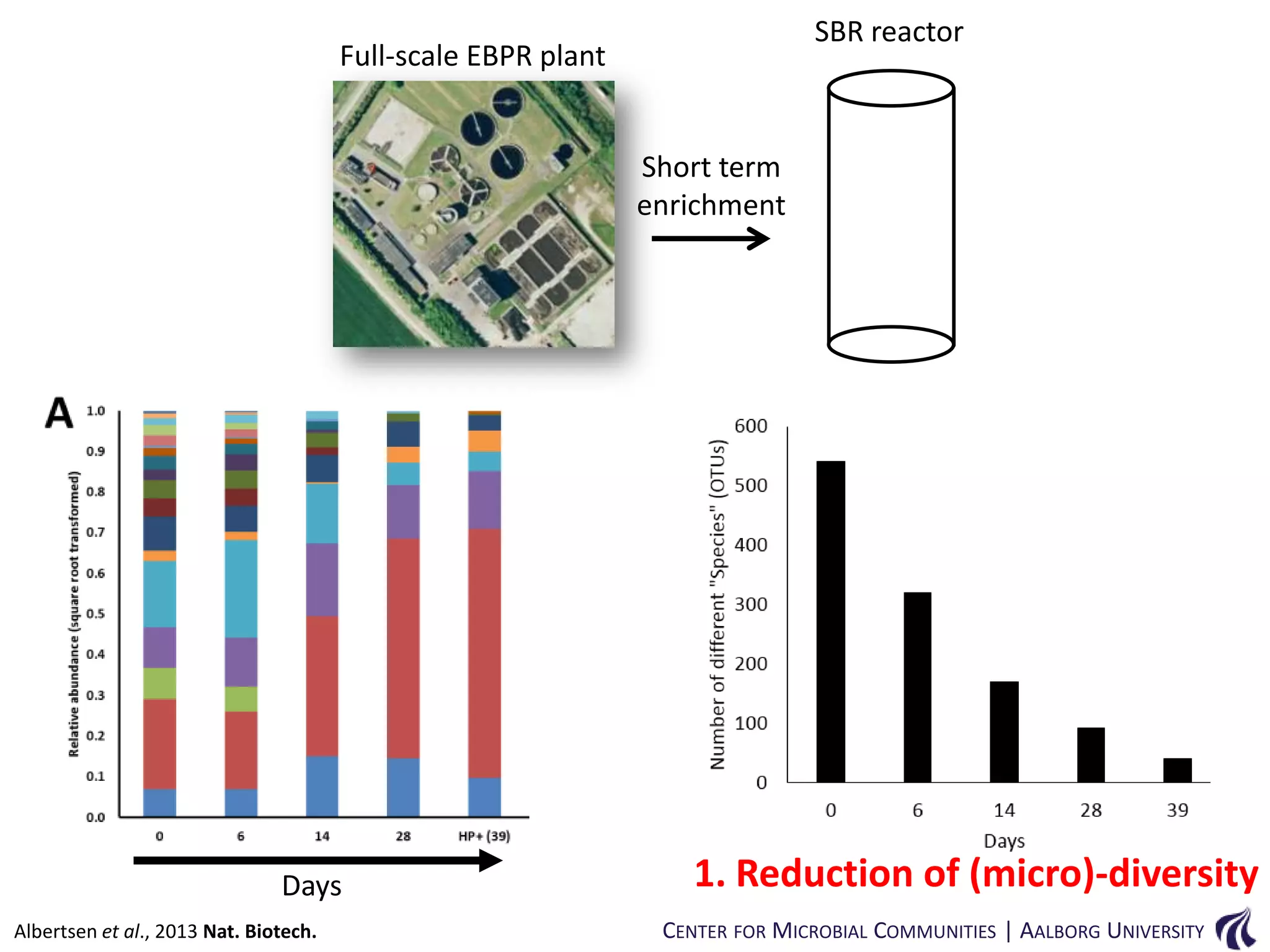 SBR reactor

Full-scale EBPR plant

Short term
enrichment

Days
Albertsen et al., 2013 Nat. Biotech.

1. Reduction of (micro)-diversity
CENTER FOR MICROBIAL COMMUNITIES | AALBORG UNIVERSITY

 