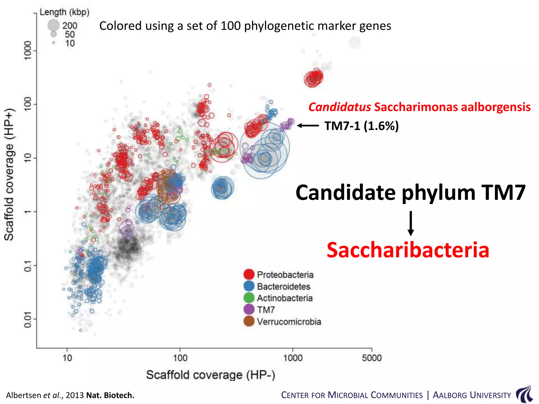 Colored using a set of 100 phylogenetic marker genes

Candidatus Saccharimonas aalborgensis
TM7-1 (1.6%)

Candidate phylum TM7

Saccharibacteria

Albertsen et al., 2013 Nat. Biotech.

CENTER FOR MICROBIAL COMMUNITIES | AALBORG UNIVERSITY

 
