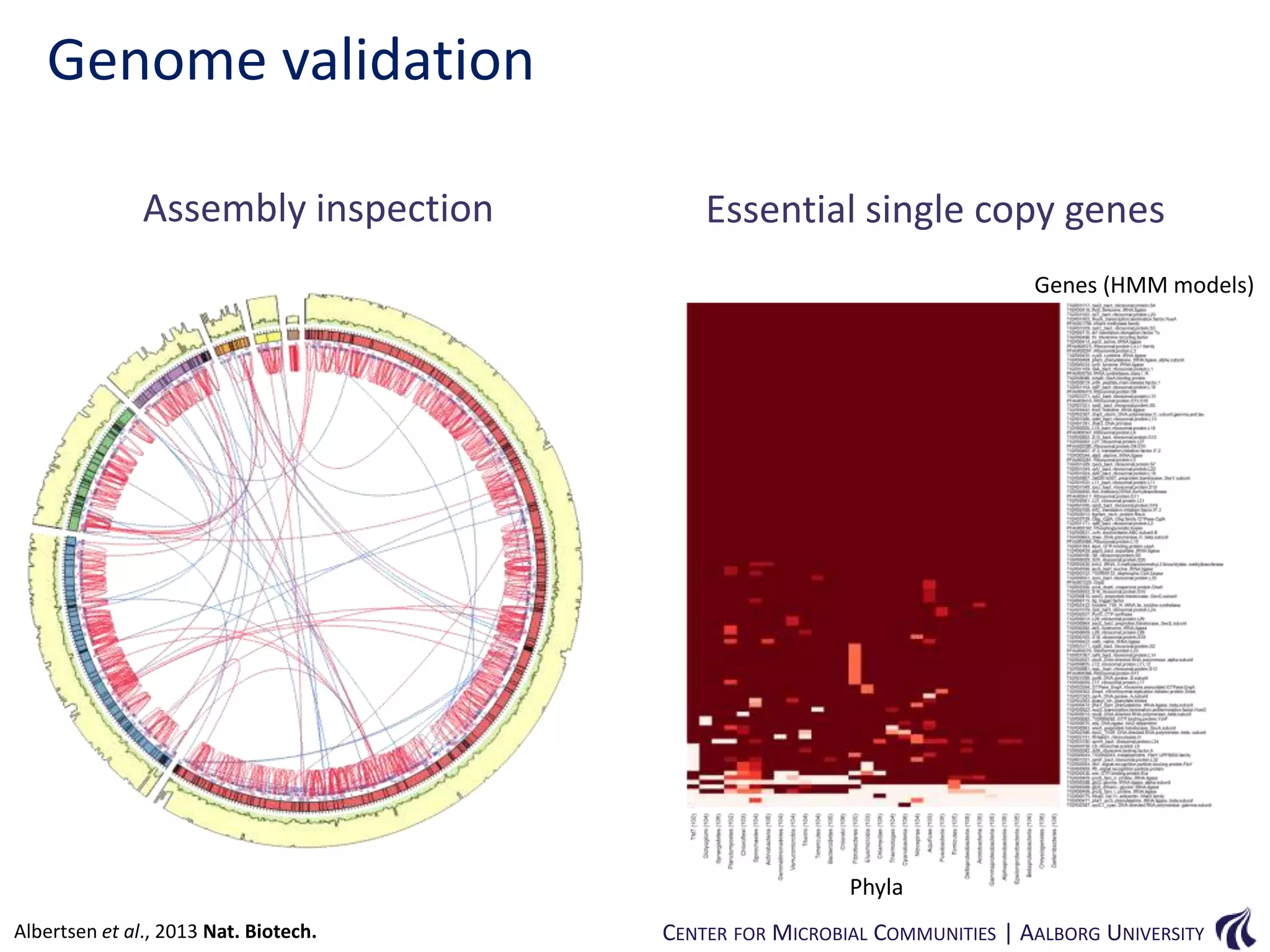 Genome validation
Assembly inspection

Essential single copy genes
Genes (HMM models)

Phyla
Albertsen et al., 2013 Nat. Biotech.

CENTER FOR MICROBIAL COMMUNITIES | AALBORG UNIVERSITY

 