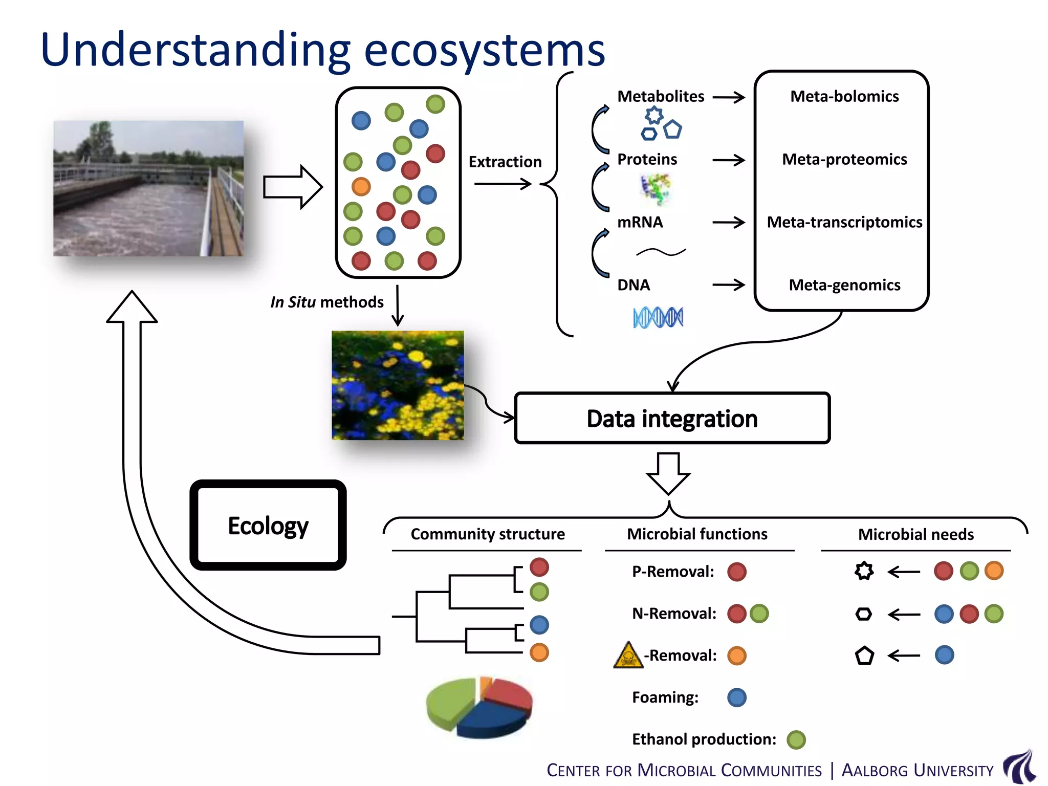 Understanding ecosystems
Metabolites

Meta-bolomics

Proteins

Extraction

mRNA

Meta-proteomics

Meta-transcriptomics

DNA

In Situ methods

Community structure

Microbial functions

Meta-genomics

Microbial needs

P-Removal:
N-Removal:
-Removal:
Foaming:
Ethanol production:

CENTER FOR MICROBIAL COMMUNITIES | AALBORG UNIVERSITY

 