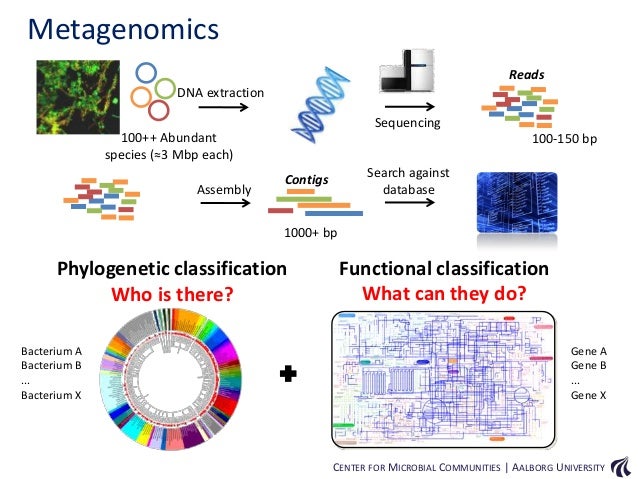 metagenomics