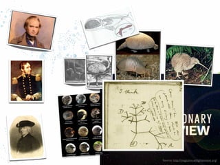 Source: http://magazine.enlightennext.org/

 