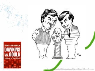 Source: http://www2.hs.ﬁ/klik/arkisto/darwin97/darwin97i.html, © Osmo Tammisalo

 