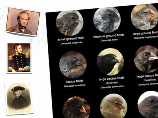 Source: http://magazine.enlightennext.org/

 