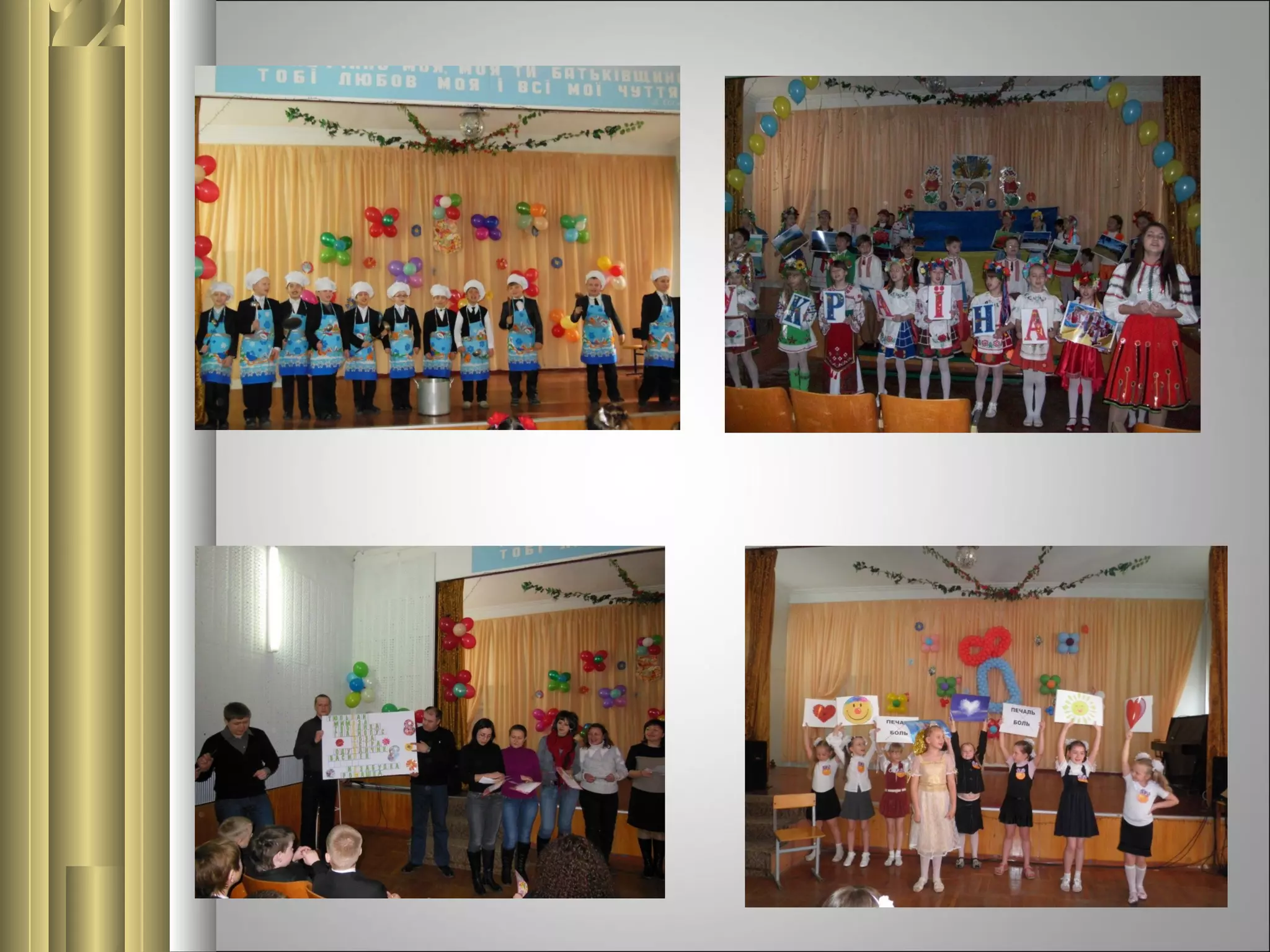 презентация боровинская 2013