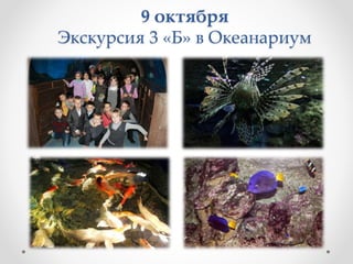 9 октября
Экскурсия 3 «Б» в Океанариум
 