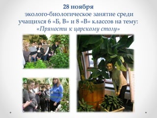 28 ноября
эколого-биологическое занятие среди
учащихся 6 «Б, В» и 8 «В» классов на тему:
«Пряности к царскому столу»
 
