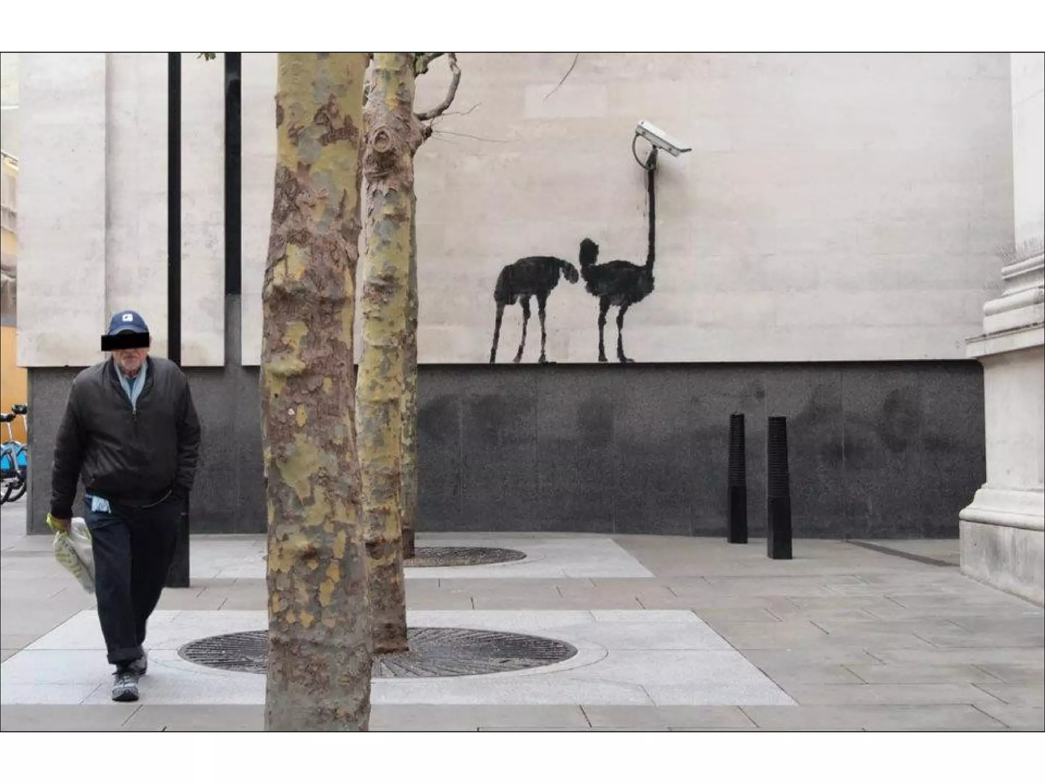 Graffiti from all over the world