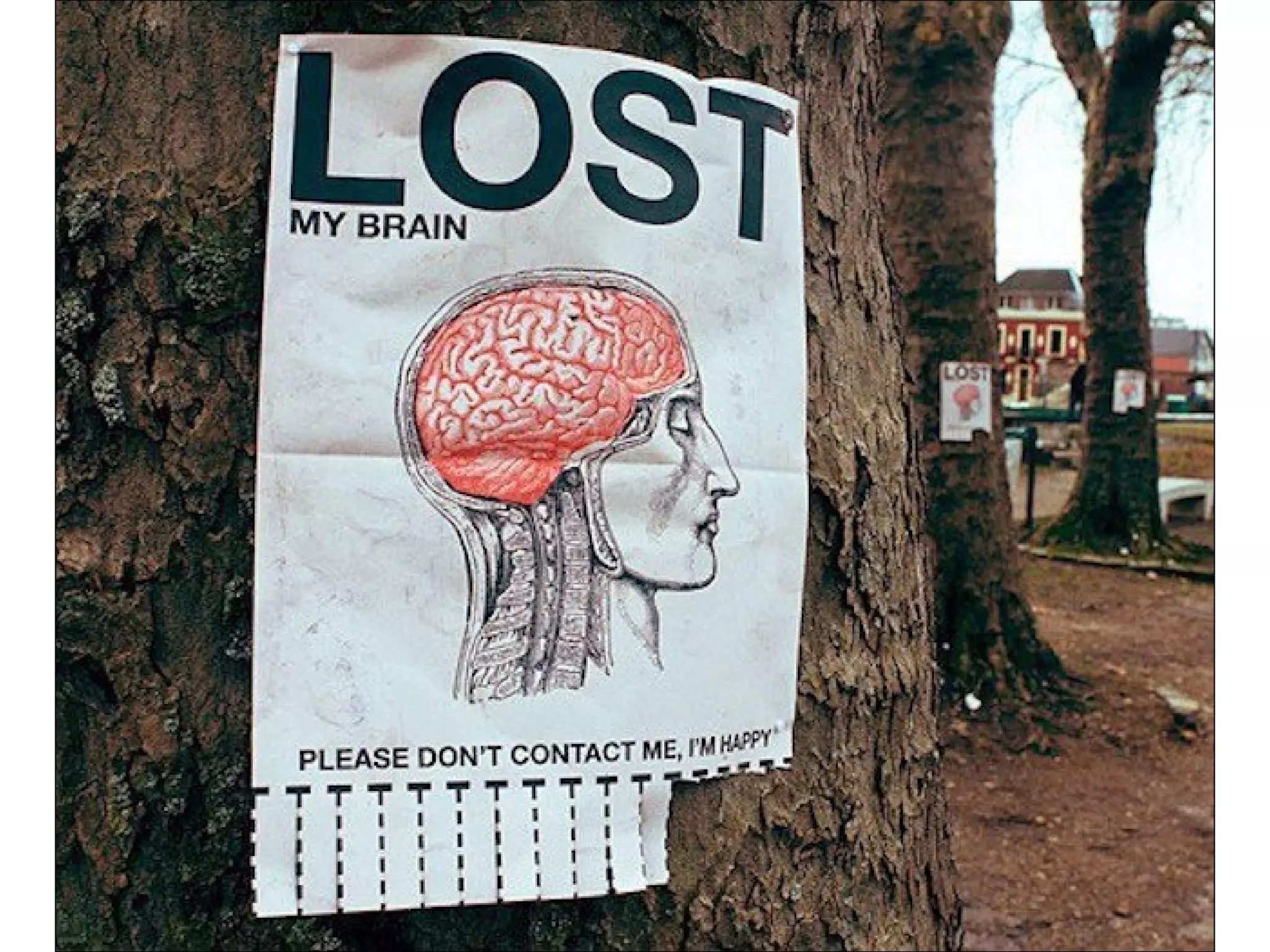 Graffiti from all over the world