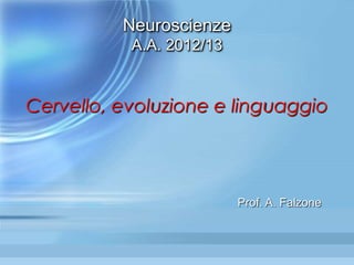 Neuroscienze
A.A. 2012/13
Cervello, evoluzione e linguaggio
Prof. A. Falzone
 