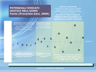Ms 0 10 60 400 …………….
-5
v 0
+5
Potenziali tronco-encefalici
Nervo acustico, nuclei cocleari,
olive superiori, lemnisco
laterale, collicolo inferiore,
nucleo geminato mediale
Reazione puramente
nervosa, discriminazione
acustica elementare
Potenziali corticali ERP
Componenti a latenza lunga o ritardata.
Attività a livello corticale delle aree
associative dei lobi temporali e parietali
degli emisferi cerebrali.
Attività di un registro sensoriale
(intensità, frequenza, tonalità) in un
continuum che va dallo stimolo allo
“aggiornamento cognitivo contestuale”
Coinvolgono la valutazione semantica:
non compaiono negli animali e nei
neonati (Butros et al., 1997; Javitt et
al., 2000; Coch et al., 2002)
Potenziali talamici
Strutture talamiche,
corteccia uditiva
della regione temporale.
Passaggio tra input
acustico e ricezione
cerebrale
LATENZA (ESTENSIONE TEMPORALE)
A
M
P
I
E
Z
Z
A
POTENZIALI EVOCATI
UDITIVI NELL’UOMO
Fonte (Proverbio-Zani, 2000)
isoelettrica
 