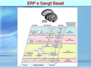 ERP e Gangli Basali
 