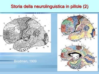 Storia della neurolinguistica in pillole (2)
Brodman, 1909
 
