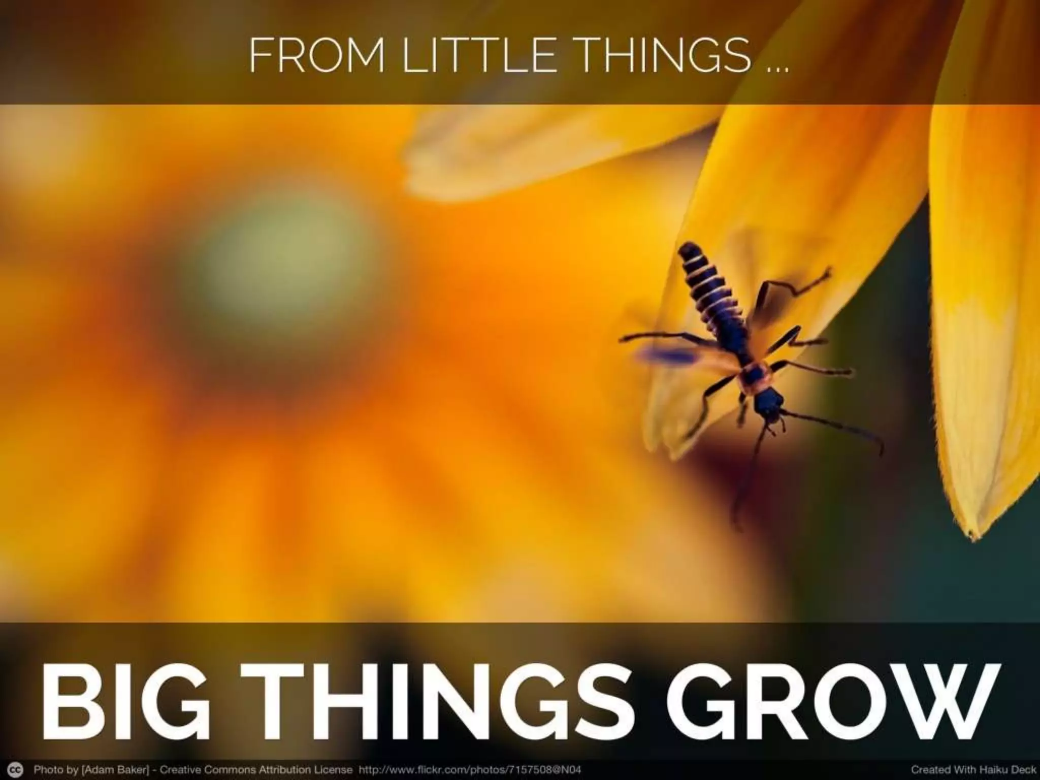 Global Classroom 2013-14: Stories & Project Launch (#globaled13)