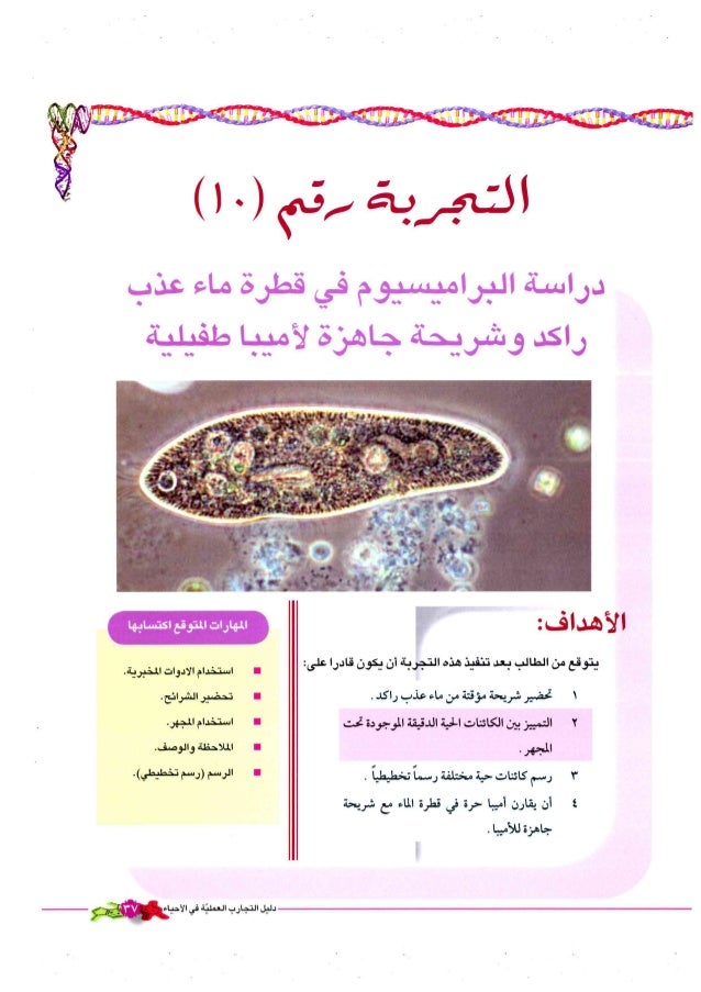 التجارب العملية في الأحياء للمرحلة الثانوية الفرع العلمي 2013 المنها
