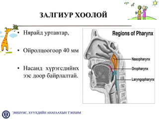 хбэт ны онцлог 2013 | PPT