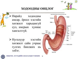 хбэт ны онцлог 2013 | PPT