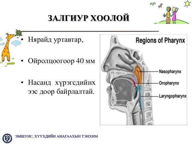 хбэт ны онцлог 2013