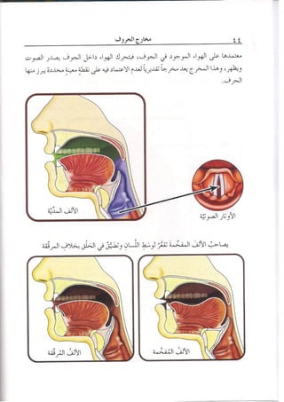 المنير في أحكام التجويد ملون طبعة 2013