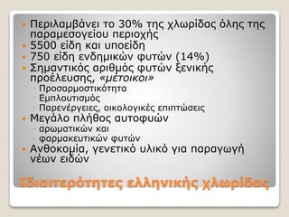 Ιδιαιτερότητες ελληνικής χλωρίδας
 Περιλαμβάνει το 30% της χλωρίδας όλης της
παραμεσογείου περιοχής
 5500 είδη και υποείδη
 750 είδη ενδημικών φυτών (14%)
 Σημαντικός αριθμός φυτών ξενικής
προέλευσης, «μέτοικοι»
◦ Προσαρμοστικότητα
◦ Εμπλουτισμός
◦ Παρενέργειες, οικολογικές επιπτώσεις
 Μεγάλο πλήθος αυτοφυών
◦ αρωματικών και
◦ φαρμακευτικών φυτών
 Ανθοκομία, γενετικό υλικό για παραγωγή
νέων ειδών
 
