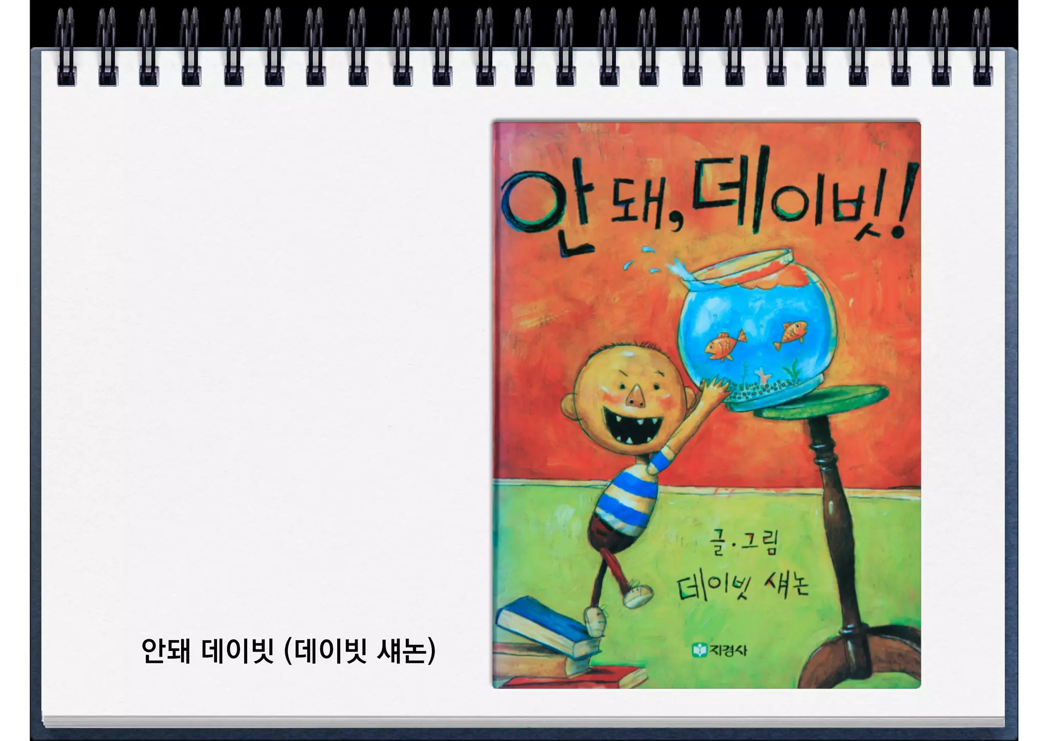 안돼 데이빗 (데이빗 섀논)
 