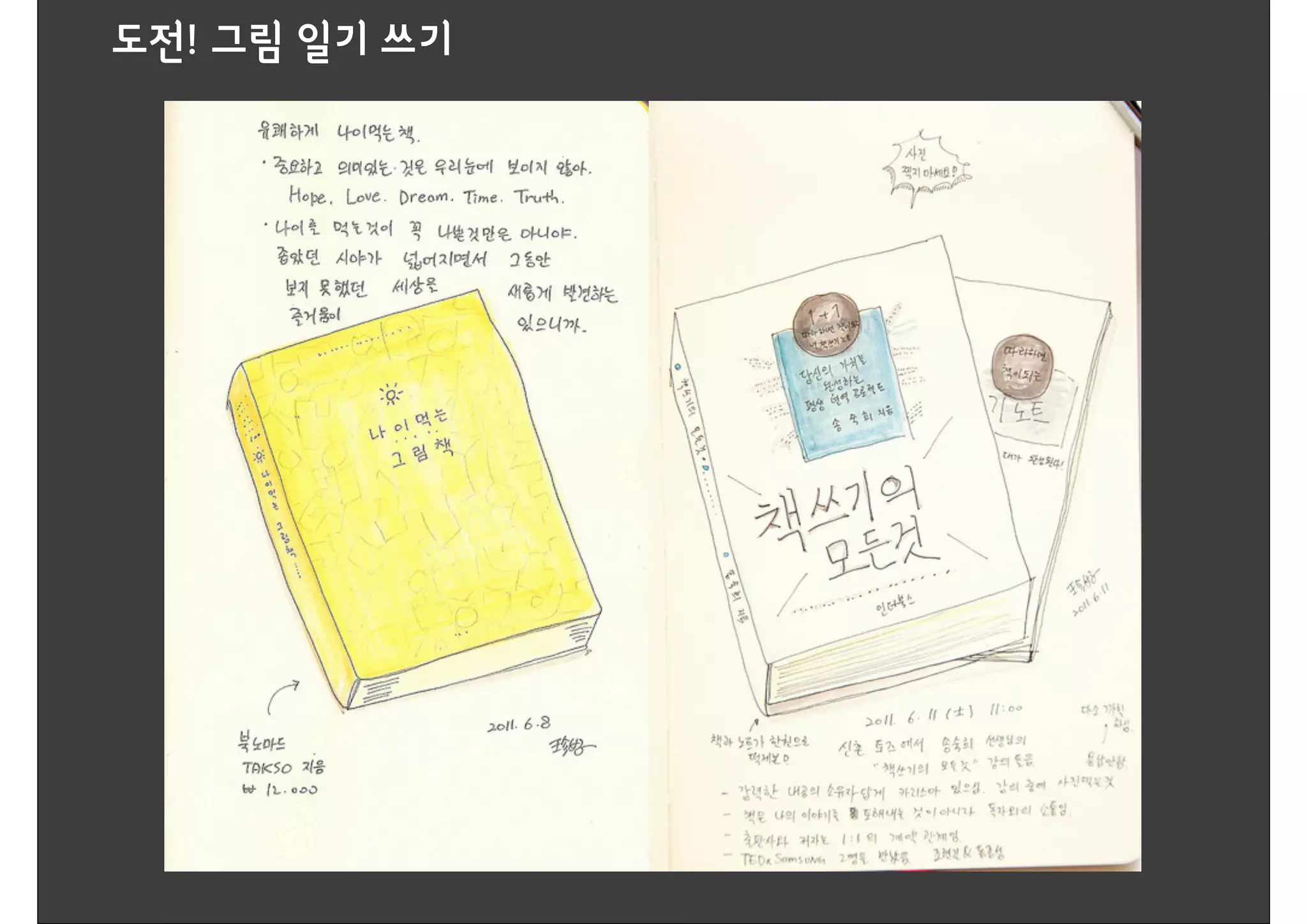 도전! 그림 일기 쓰기
 