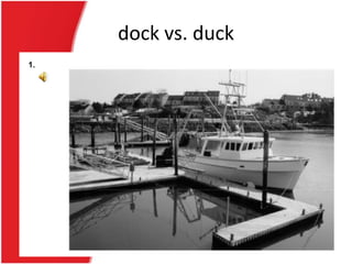 dock vs. duck
 