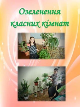 Озеленення
класних кімнат

 